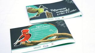 DAGMA Naturalizate - Screenshot 1