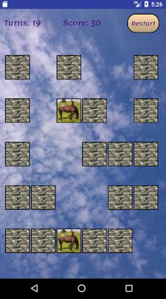 Memory Match - Screenshot 2