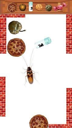 Cockroach - Cat's Game - Screenshot 4