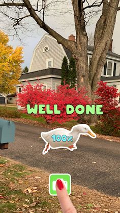 Running Goose - Screenshot 1