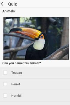 Zoo Animals Quiz - Screenshot 3