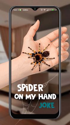 Spider on My Hand Joke - Screenshot 2