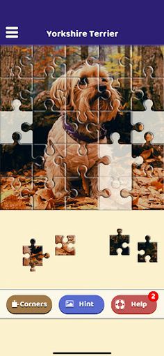 Yorkshire Terrier Puzzle - Screenshot 3