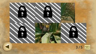 Tlacuache Painal - Screenshot 2