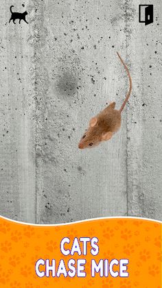 Toy For Cats - Games For Cat - Screenshot 3