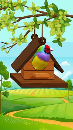 Bird Games – Jungle Adventure - Screenshot 1