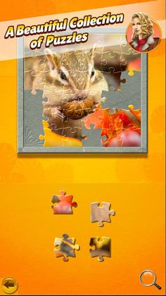 Jigsaw Chronicles - Screenshot 3