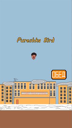 Pureshka Bird - Screenshot 2