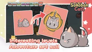 Sokoban Cats - Screenshot 3