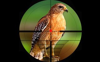 Birds Hunting Challenge Game - Screenshot 2