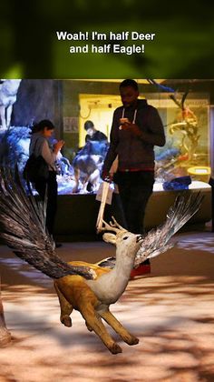 Nya Djur - Screenshot 3