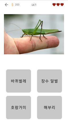 곤충 퀴즈 - Screenshot 2