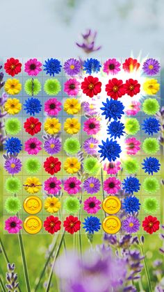 Flower Blast: Garden Blossom - Screenshot 4