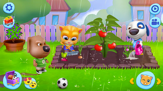 My Talking Tom Friends - Screenshot 3