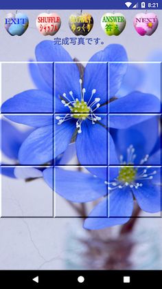 Sliding Puzzle Flowers - Screenshot 3