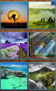 Nature Jigsaw Puzzles - Screenshot 2