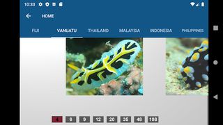 Esperanza n Me Puzzles - Screenshot 3