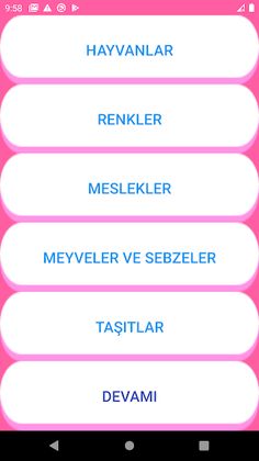 Learning Turkish Words - Screenshot 1