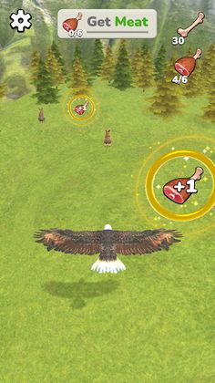Eagle Simulator - Screenshot 1