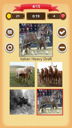 Horse Quiz - Screenshot 4