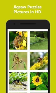 Puzzle Game for Adults - Screenshot 3