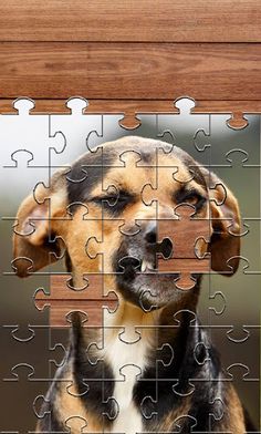 Dogs Jigsaw Puzzle Games - Screenshot 2