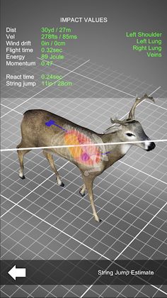 Bow Hunt Simulator - Screenshot 3