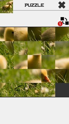 Easter Slide Puzzle - Screenshot 3
