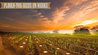 Farmer Farming Simulator Game - Screenshot 3