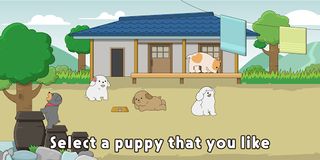 Country Mutt : Cute Puppy Game - Screenshot 2