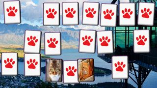 Memoria Gatos Tubers - Screenshot 3