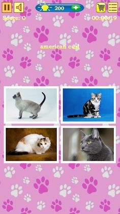 Cats Quiz - Screenshot 2