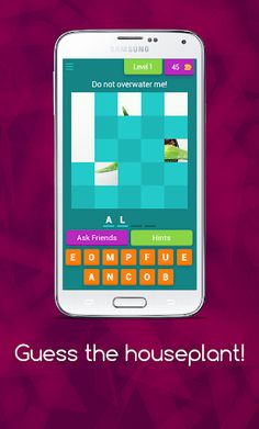 Guess the houseplant! - Screenshot 1