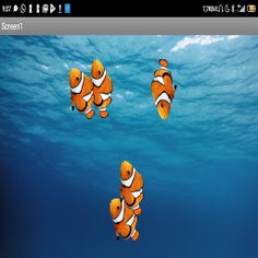 Aquarium portable - Screenshot 1