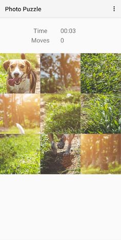 Photo Puzzle Game - Screenshot 2