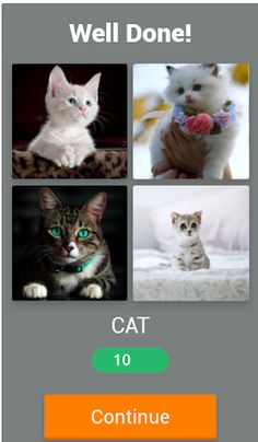 4 pics 1 word 2022-puzzle game - Screenshot 2