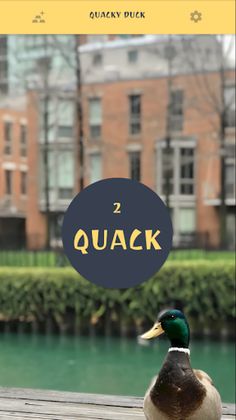 Quacky Duck - Screenshot 3