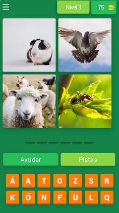 4 Fotos 1 Animal - Screenshot 1