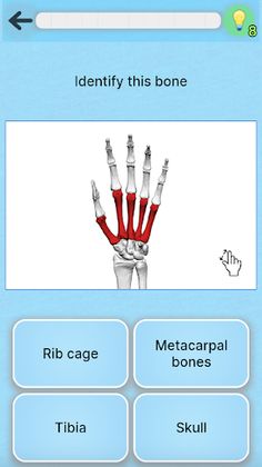 Anatomy Pro - Screenshot 2