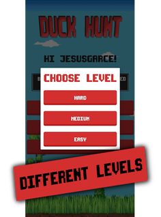 DUCK HUNT - Screenshot 3