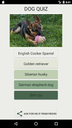 How Many Of These Dog Breeds D - Screenshot 1