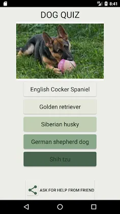 How Many Of These Dog Breeds D - Screenshot 1