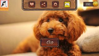 Teddy Dog Simulator - Screenshot 2