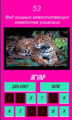 Quiz: guess the animal by the - Screenshot 3