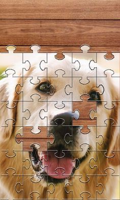 Dogs Jigsaw Puzzle Games - Screenshot 1