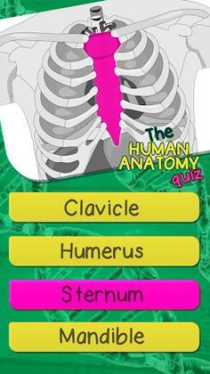 The Human Anatomy Quiz - Screenshot 4