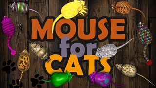 Mouse for Cats - Screenshot 2