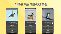 새 이름 맞추기 퀴즈 - Screenshot 3