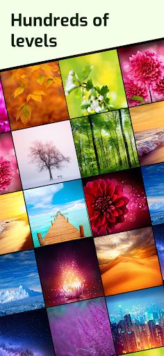 6 Tries 1 Word - Screenshot 4