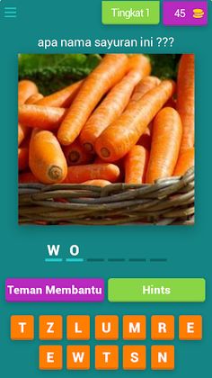 tebak gambar nama sayuran - Screenshot 1